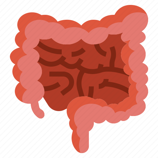Colon, intestine, large, appendix, healthcare, medical icon - Download on Iconfinder