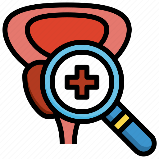 Prostate, check, healthcare, medical, anatomy, organ, cancer icon - Download on Iconfinder