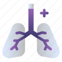 lungs, body organ, body part, internal organ