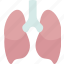 lungs, respiratory, trachea, health, human 