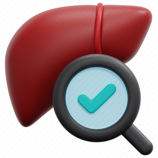Liver, exam, check, health, checkup, organ, medical icon - Download on Iconfinder