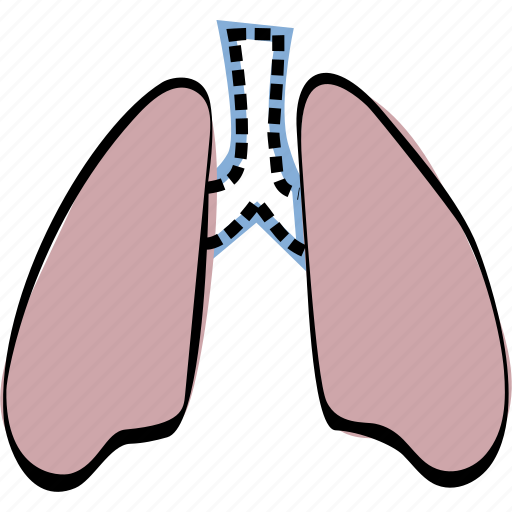 Breath, lungs, pulmonology icon - Download on Iconfinder