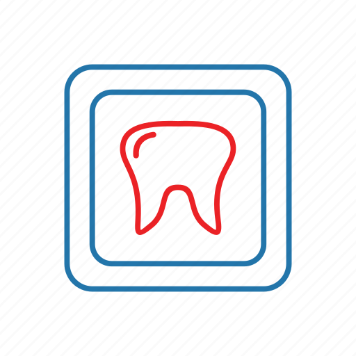 Health, medical, tooth, dentist icon - Download on Iconfinder