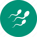 medical, reproduction, sperm, sperms, sperms cells 