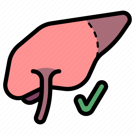 Liver, organ, anatomy, health, healthy icon - Download on Iconfinder
