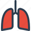 lungs, medical, human anatomy 
