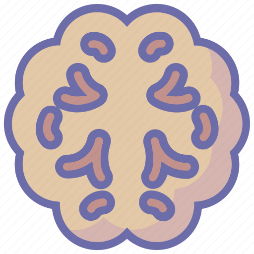 Brain, human, idea, intelligence, mind icon - Download on Iconfinder
