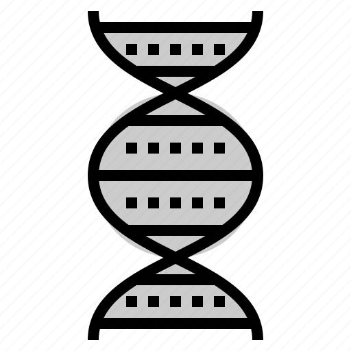 Biology, chain, dna, genetic, genome icon - Download on Iconfinder