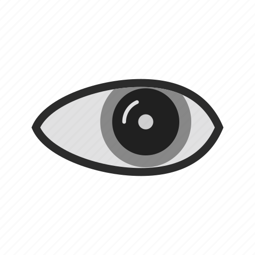 Eye, eyesight, human organ, ophthalmology, optical, optics, vision icon - Download on Iconfinder