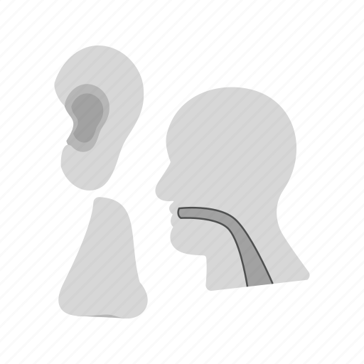 Ear, examination, health care, medical, nose, patient, throat icon - Download on Iconfinder