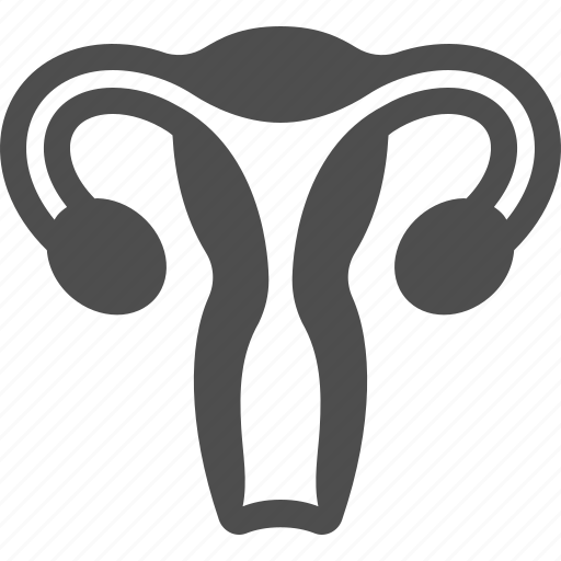 Uterus, fallopian tubes, reproductive system, female uterus icon - Download on Iconfinder