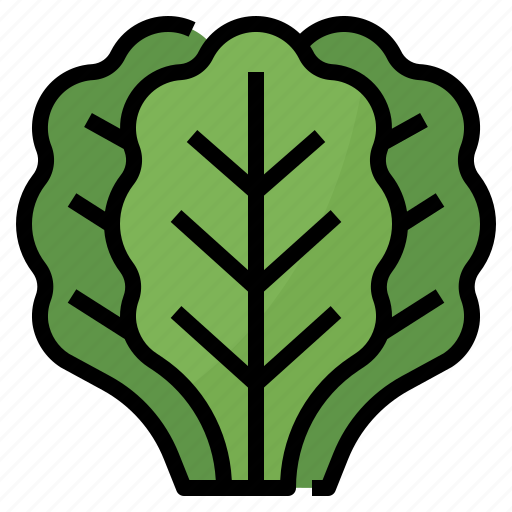Healthy, kale, nutritious, vegetable icon - Download on Iconfinder