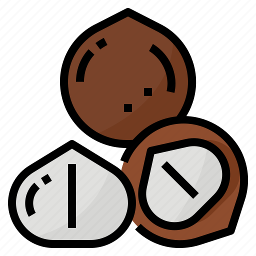 Healthy, macadamia, nut, nutrition icon - Download on Iconfinder