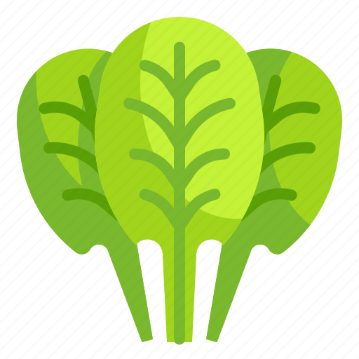 Diet, food, healthy, organic, spinach, vegan, vegetable icon - Download on Iconfinder