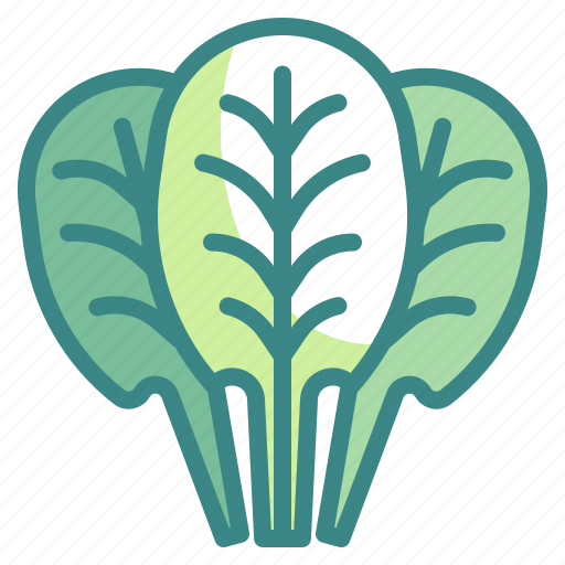 Diet, food, healthy, organic, spinach, vegan, vegetable icon - Download on Iconfinder