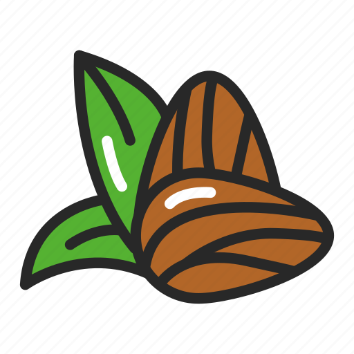 Almond, food, healthy, nut icon - Download on Iconfinder