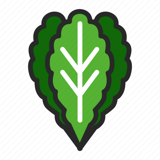 Food, greens, healthy, vegetable icon - Download on Iconfinder