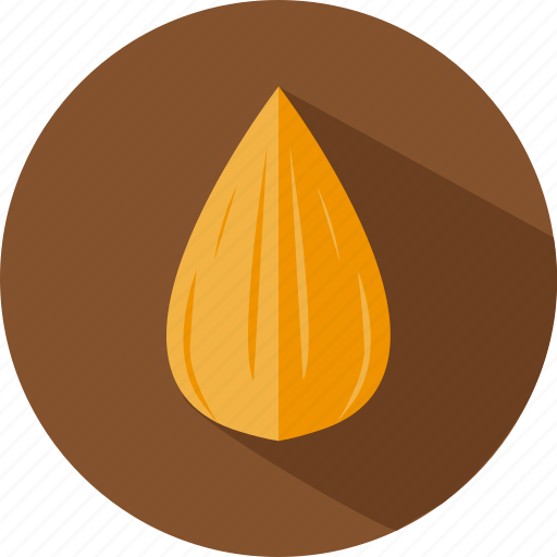 Almond, protein, nut, snack icon - Download on Iconfinder