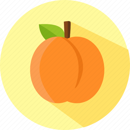 Apricot, fruit, healthy, fresh icon - Download on Iconfinder