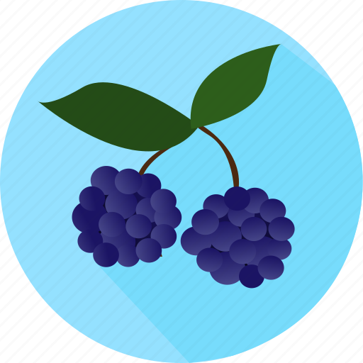 Fruits, berries, berry icon - Download on Iconfinder