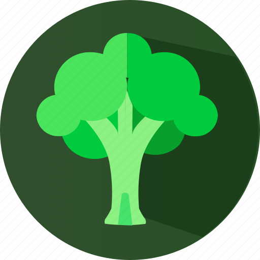 Vegetable, food, organic, broccoli icon - Download on Iconfinder