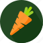 vegetarian, carrot, vegetable, healthy 