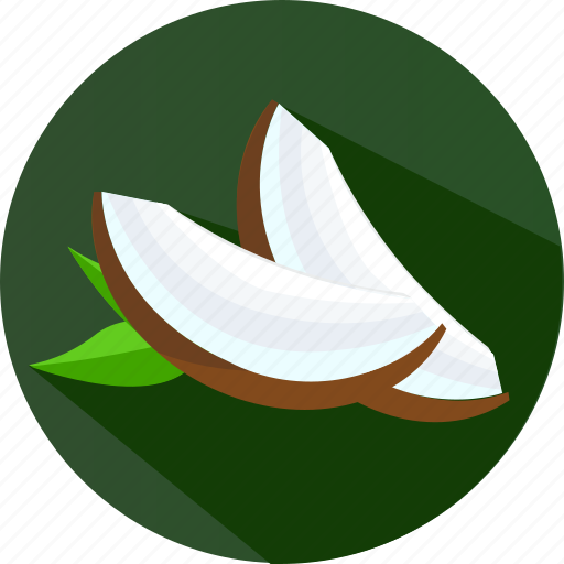 Fruit, organic, tropical, coconut icon - Download on Iconfinder