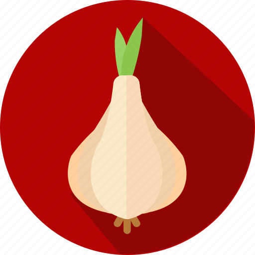 Eat, garlic, vegetable, organic icon - Download on Iconfinder
