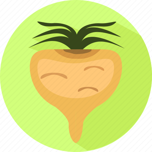 Herbs, plant, maca, organic, root, maca root icon - Download on Iconfinder
