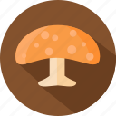 mushroom, food, healthy, fungus