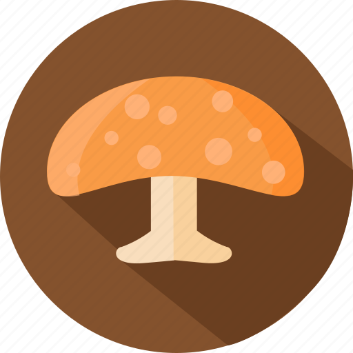 Mushroom, food, healthy, fungus icon - Download on Iconfinder