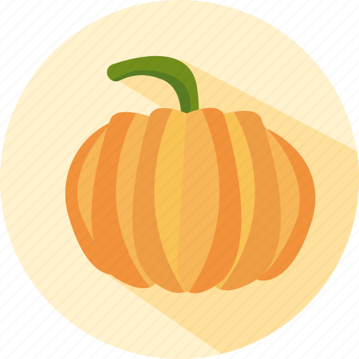 Organic, pumpkin, halloween, vegetable icon - Download on Iconfinder