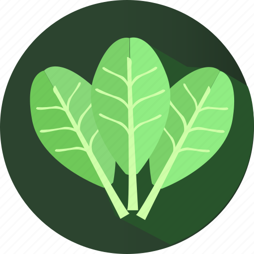 Spinach, cooking, vegetable, fiber icon - Download on Iconfinder