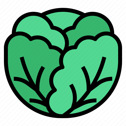 Cabbage, fruit, healthy, food, vegeterian, organic, vegetables icon - Download on Iconfinder