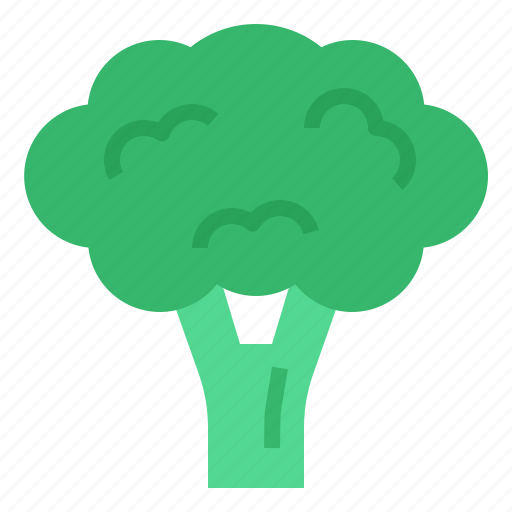 Broccoli, vegetables, healthy, food, vegeterian, organic, eating icon - Download on Iconfinder