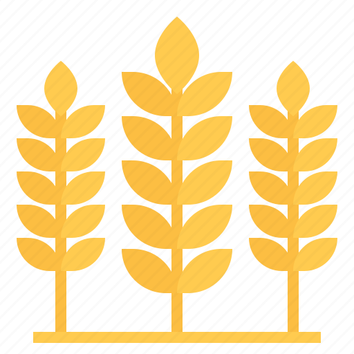 Rice, wheat, grain, cereal, farming, healthy, organic icon - Download on Iconfinder