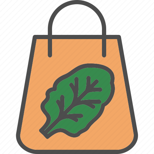 Chard, leaf, popeye, salad, spinach, vegetable, 1 icon - Download on Iconfinder