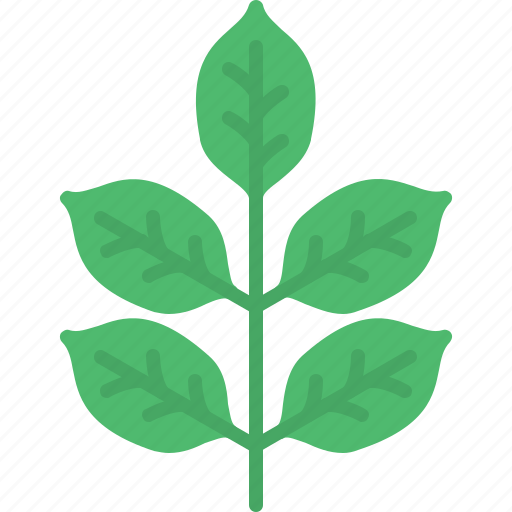 Bay, leaves, food, cooking, ingredient icon - Download on Iconfinder