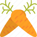 carrot, food, health, root, seeds, vegetable