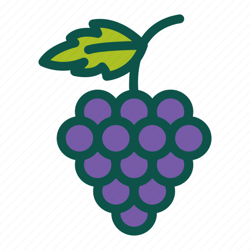 Diet, food, fruit, grape, healthy icon - Download on Iconfinder