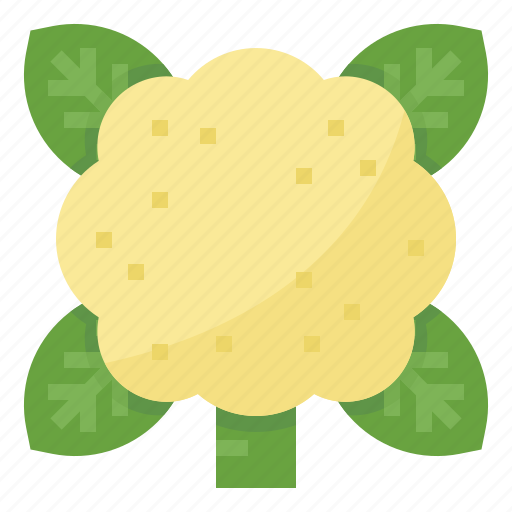 Cauliflower, healthy, nutritious, vegetable icon - Download on Iconfinder