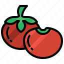 tomato, healthy, food, diet, vegetarian, fruit