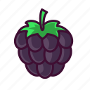 blackberry, food, fruits, healthy, sweet 