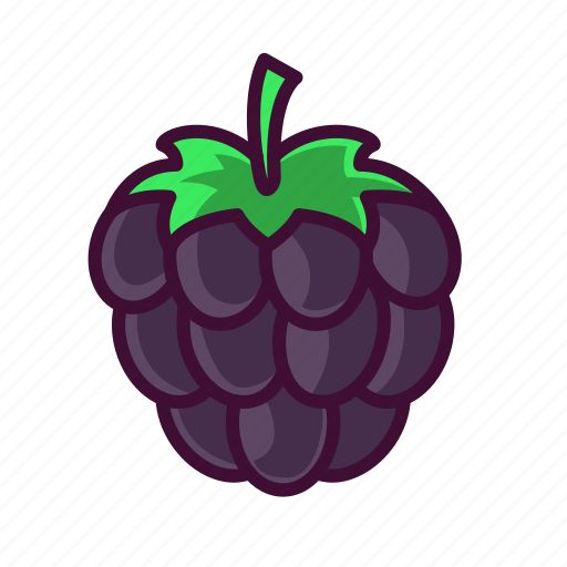 Blackberry, food, fruits, healthy, sweet icon - Download on Iconfinder