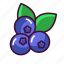 blueberries, food, fruits, healthy, sweet 