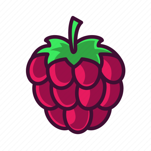 Food, fruits, healthy, raspberry, sweet icon - Download on Iconfinder