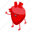 red, healthy, heart, isometric 