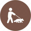 animal, dog, outdoors, park, pet, walk, walking