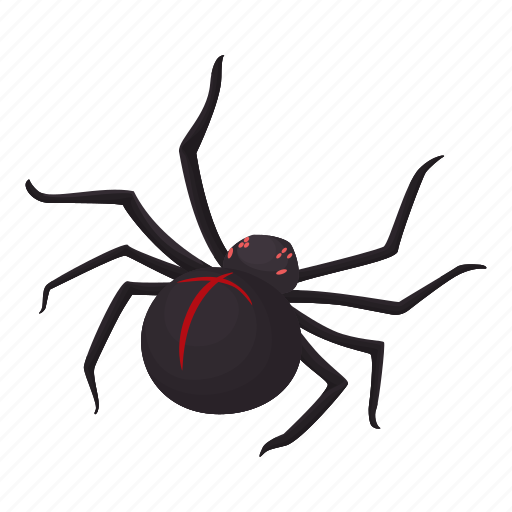 Helloween, insect, latrodectus mactans, spider, widow icon - Download on Iconfinder