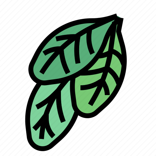 Herba, spinach icon - Download on Iconfinder on Iconfinder
